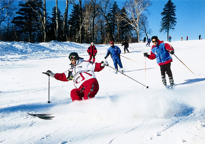 ������ѩ